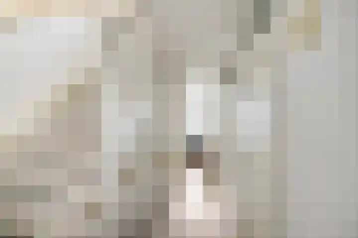 Van Ostadestraat 26 Assen thumbnail 13