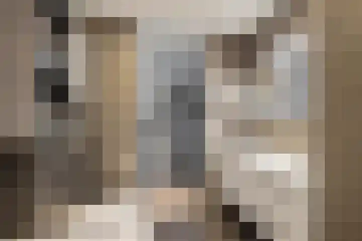 Van Ostadestraat 26 Assen thumbnail 17