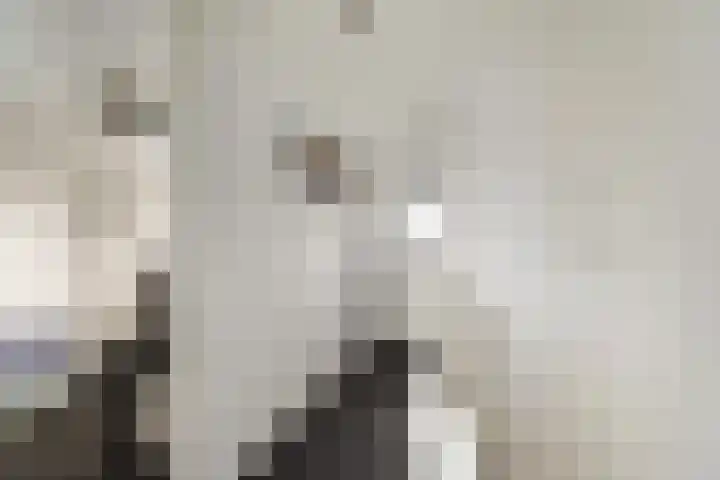 Van Ostadestraat 26 Assen thumbnail 21