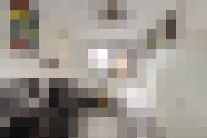 Van Ostadestraat 26 Assen thumbnail 25