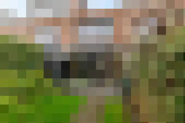 Van Ostadestraat 26 Assen thumbnail 26