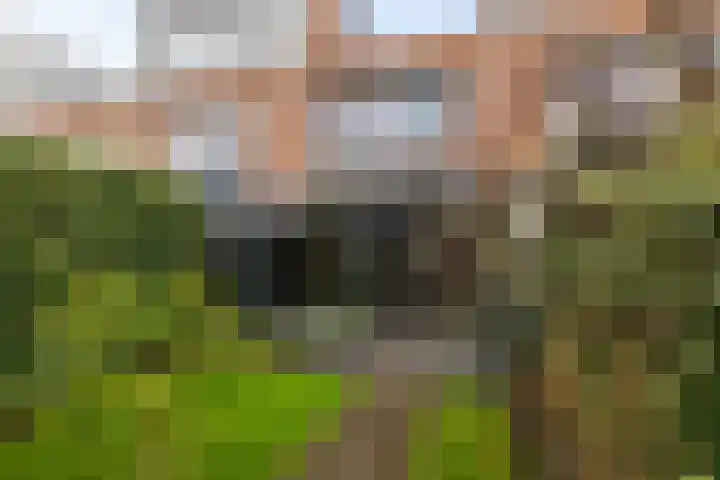 Van Ostadestraat 26 Assen thumbnail 27