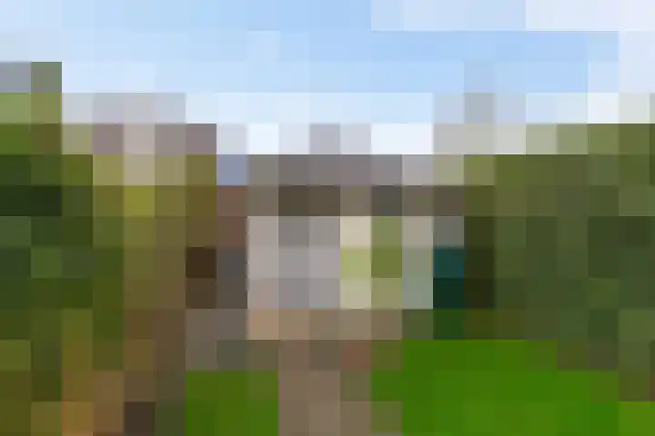 Van Ostadestraat 26 Assen thumbnail 28