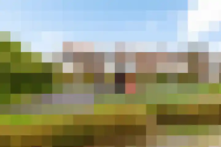 Van Ostadestraat 26 Assen thumbnail 29