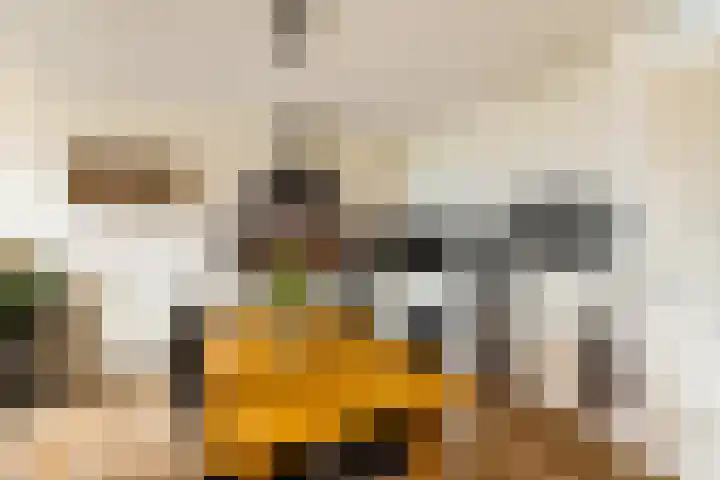 Van Ostadestraat 26 Assen thumbnail 8