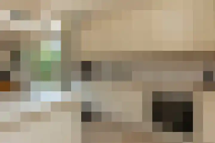 van Ostadestraat 26 Lisse thumbnail 18