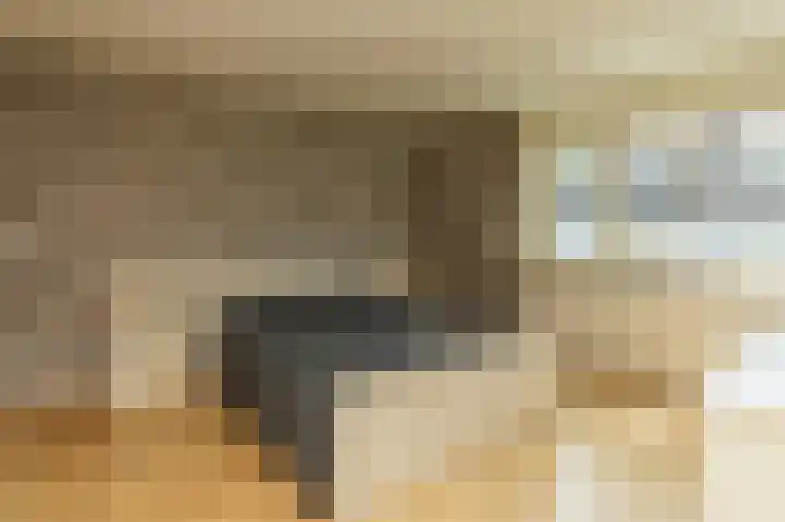 van Ostadestraat 26 Lisse thumbnail 23