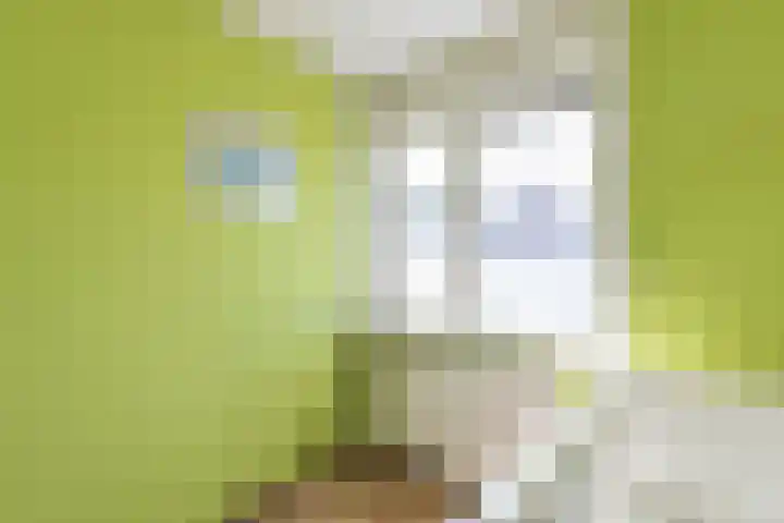 van Ostadestraat 26 Lisse thumbnail 29