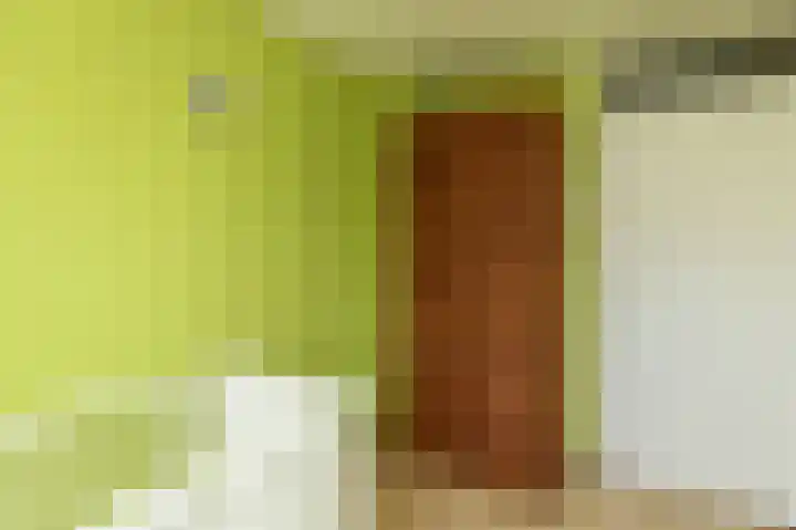 van Ostadestraat 26 Lisse thumbnail 31