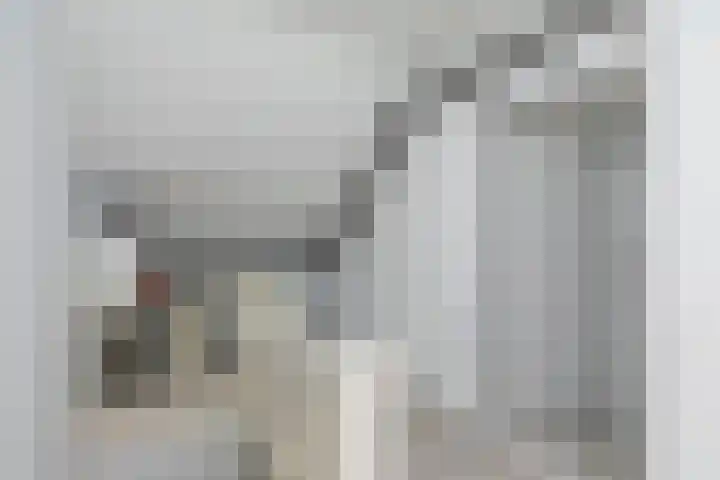 van Ostadestraat 26 Lisse thumbnail 35