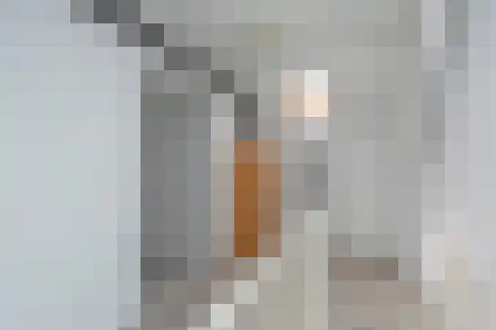 van Ostadestraat 26 Lisse thumbnail 36