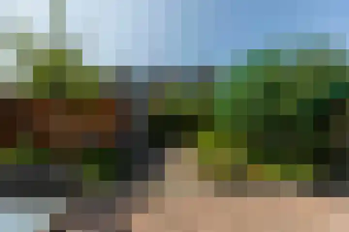 van Ostadestraat 26 Lisse thumbnail 42