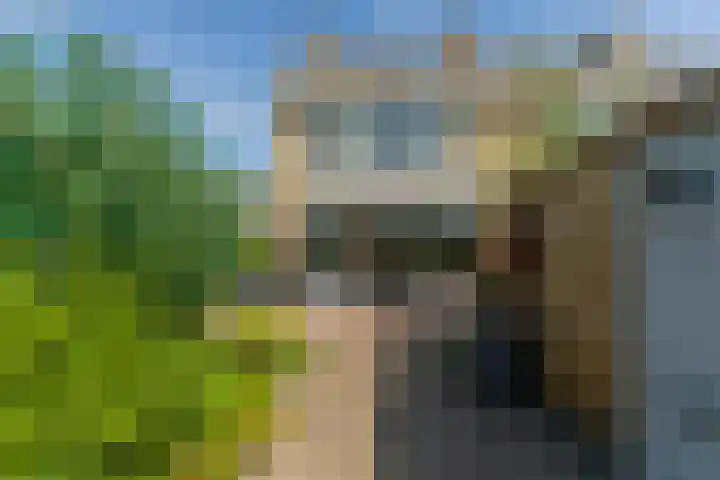 van Ostadestraat 26 Lisse thumbnail 48