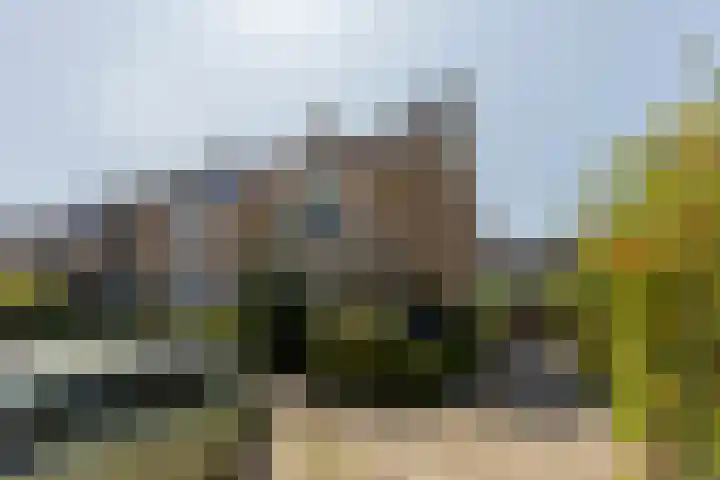 van Ostadestraat 26 Lisse thumbnail 57