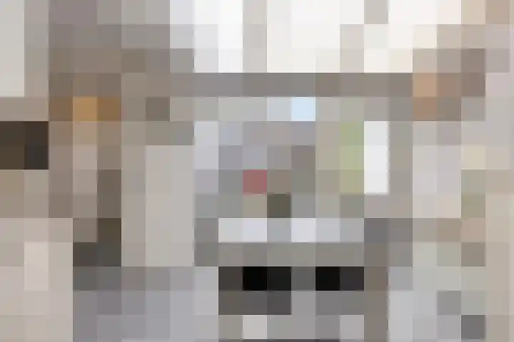 van Ostadestraat 27 Hengelo thumbnail 12