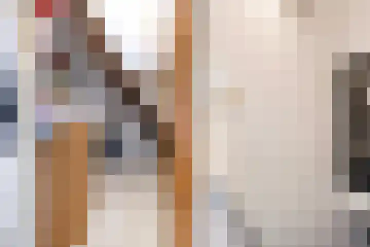 van Ostadestraat 27 Hengelo thumbnail 20