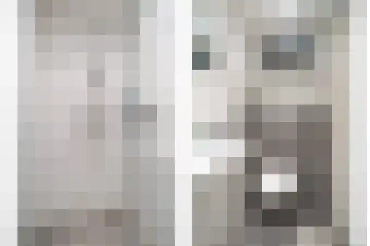 van Ostadestraat 27 Hengelo thumbnail 8