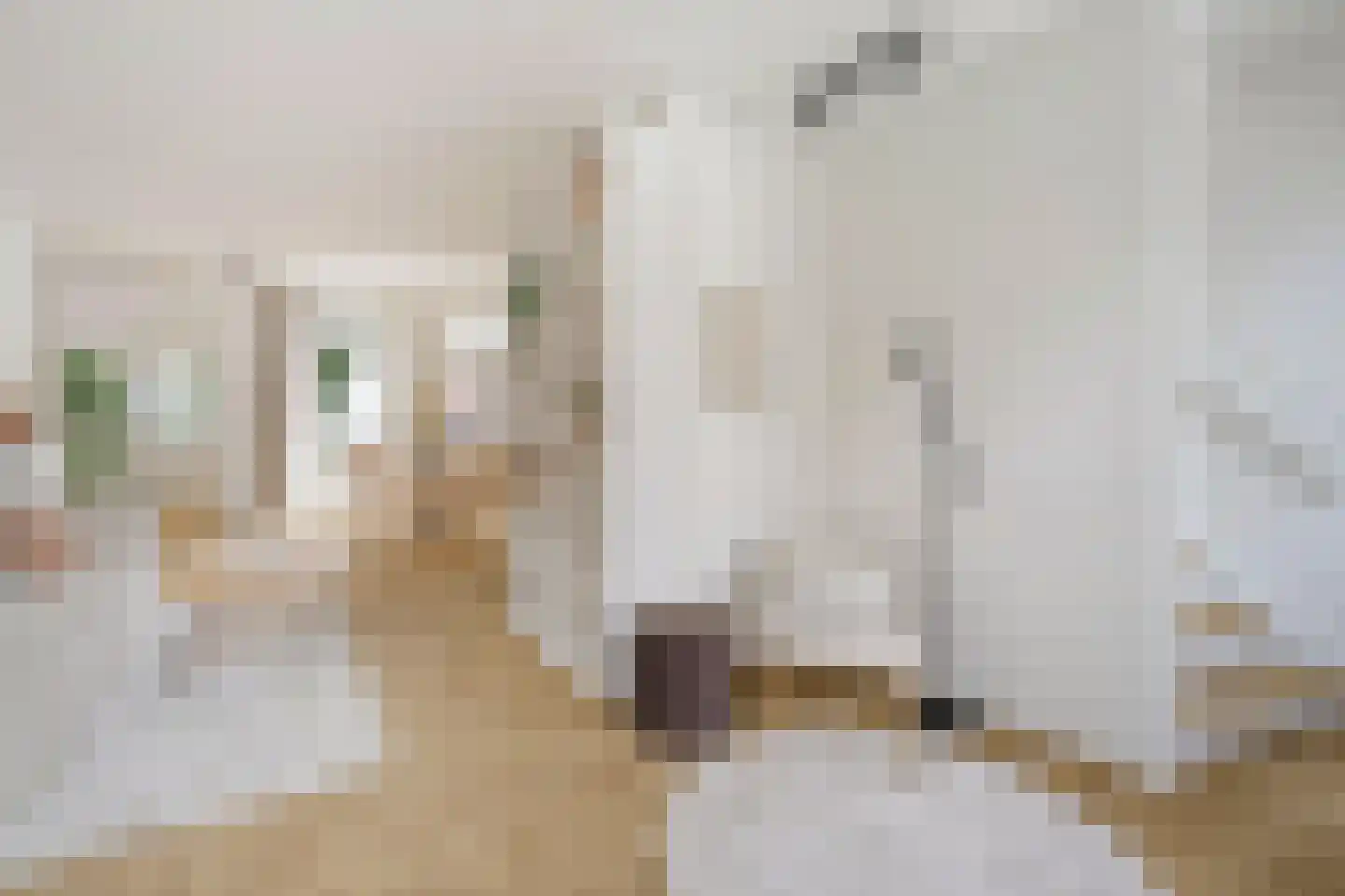 Van Ostadestraat 282 3 Amsterdam thumbnail 15