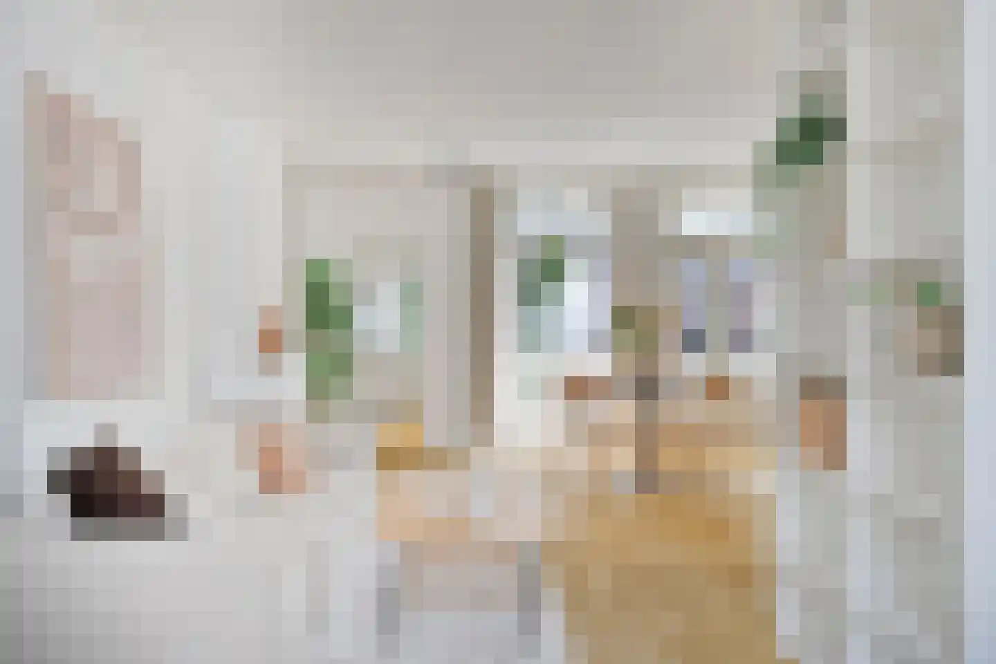 Van Ostadestraat 282 3 Amsterdam thumbnail 4