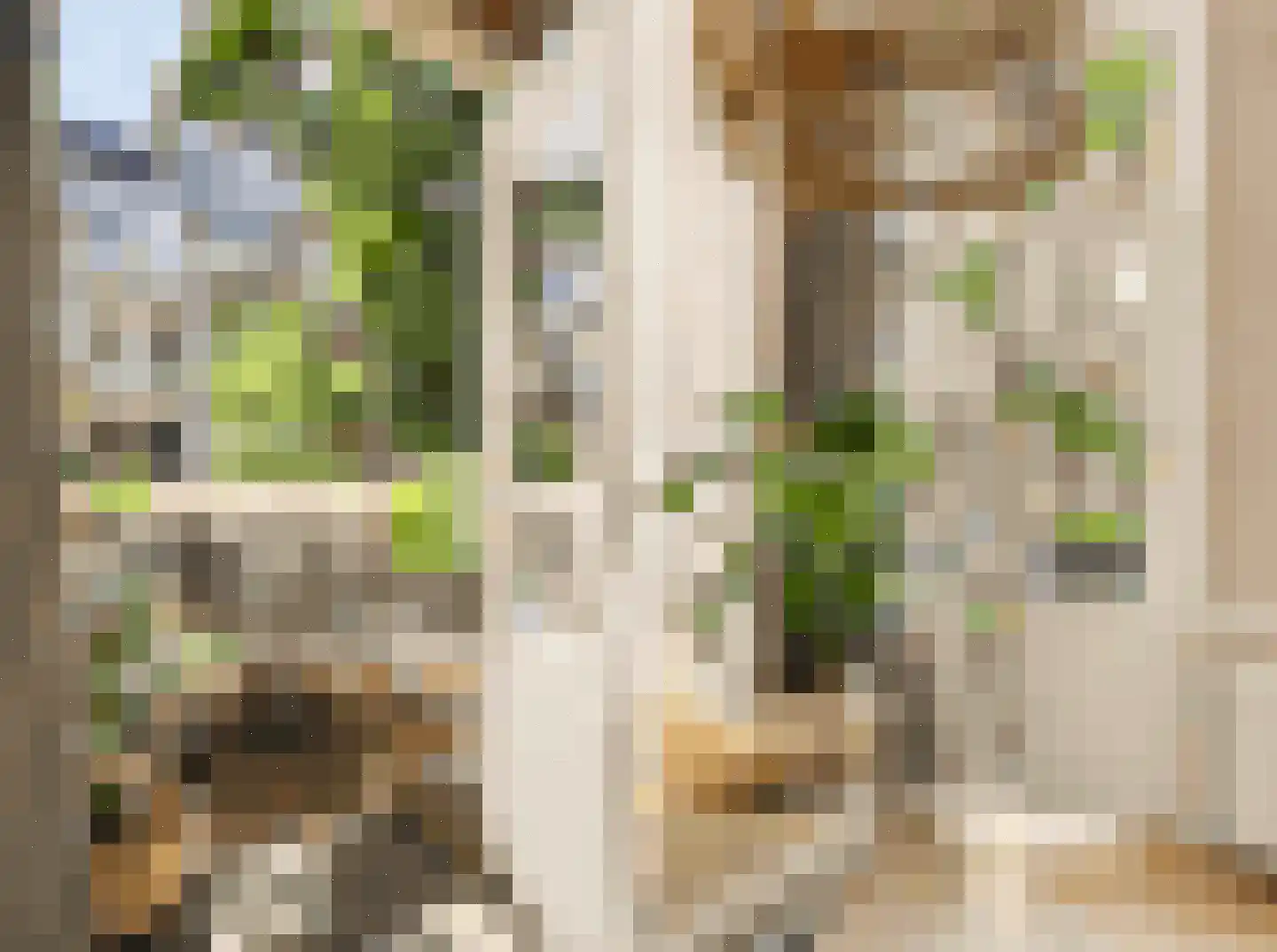 Van Ostadestraat 286 2 Amsterdam thumbnail 15