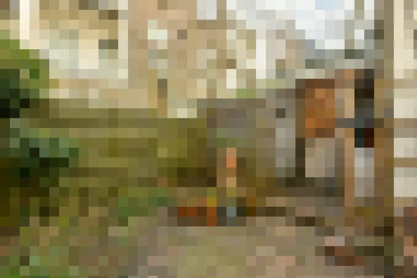 Van Ostadestraat 288 2 Amsterdam thumbnail 24