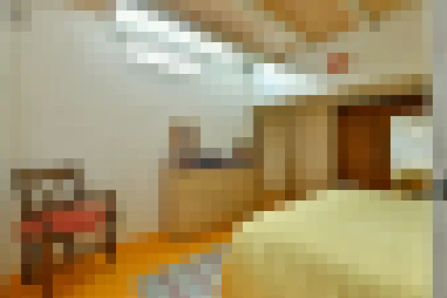 Van Ostadestraat 288 3 Amsterdam thumbnail 12