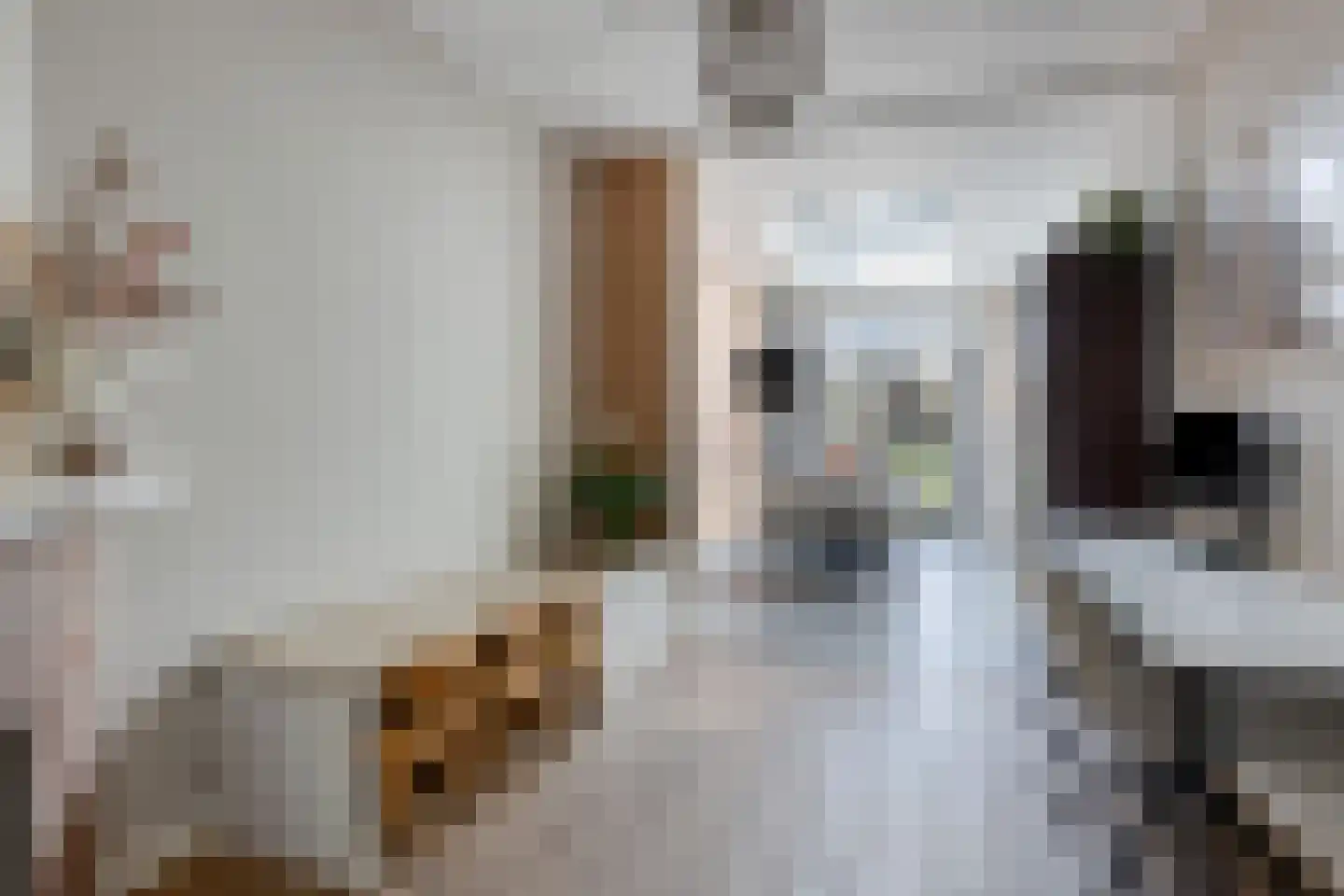 van Ostadestraat 29 Hengelo thumbnail 18