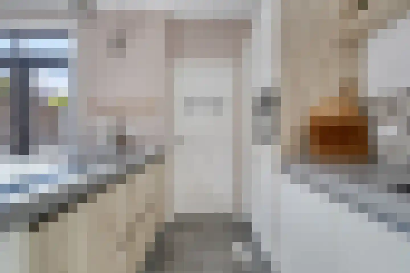 van Ostadestraat 29 Hengelo thumbnail 23