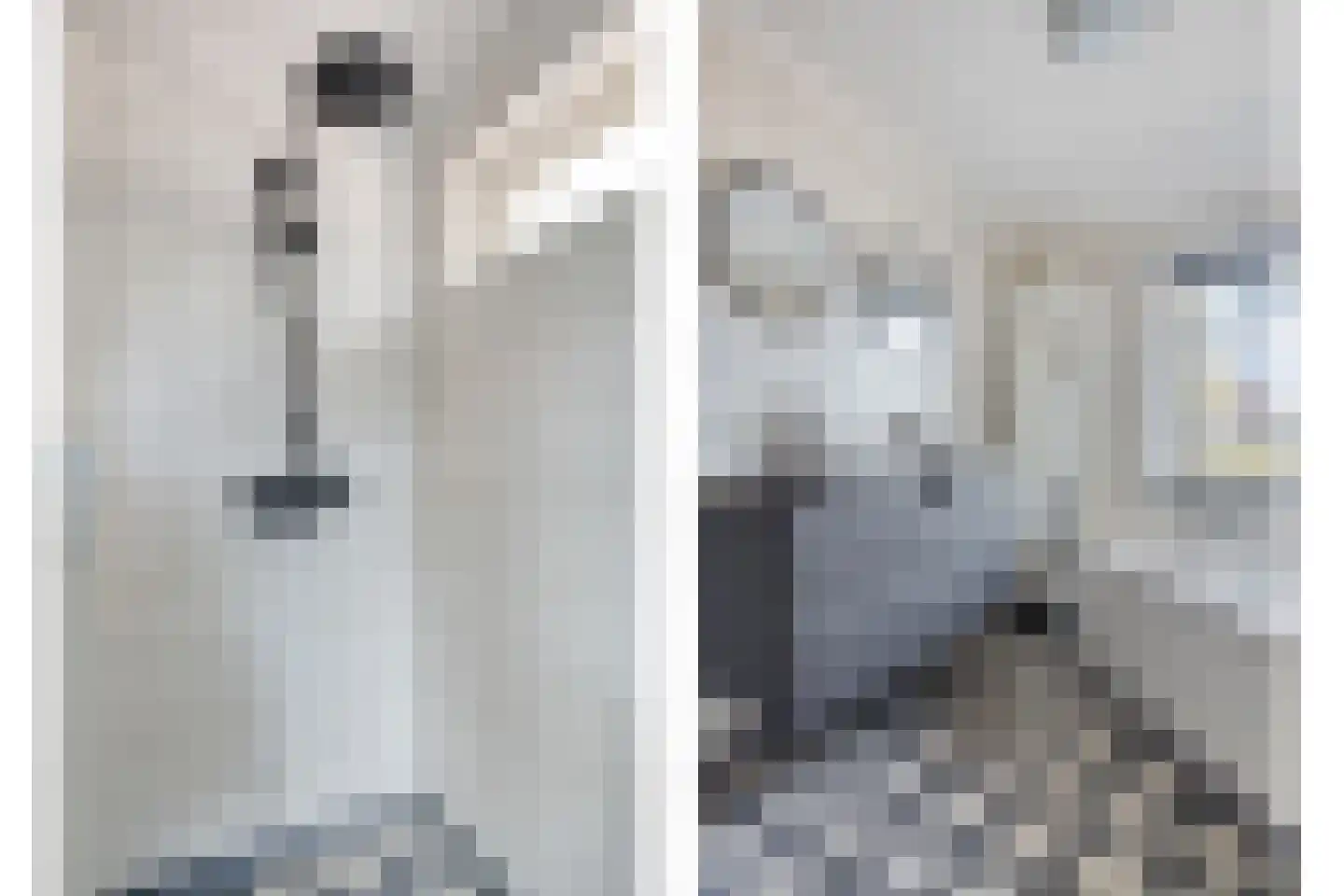 van Ostadestraat 29 Hengelo thumbnail 32