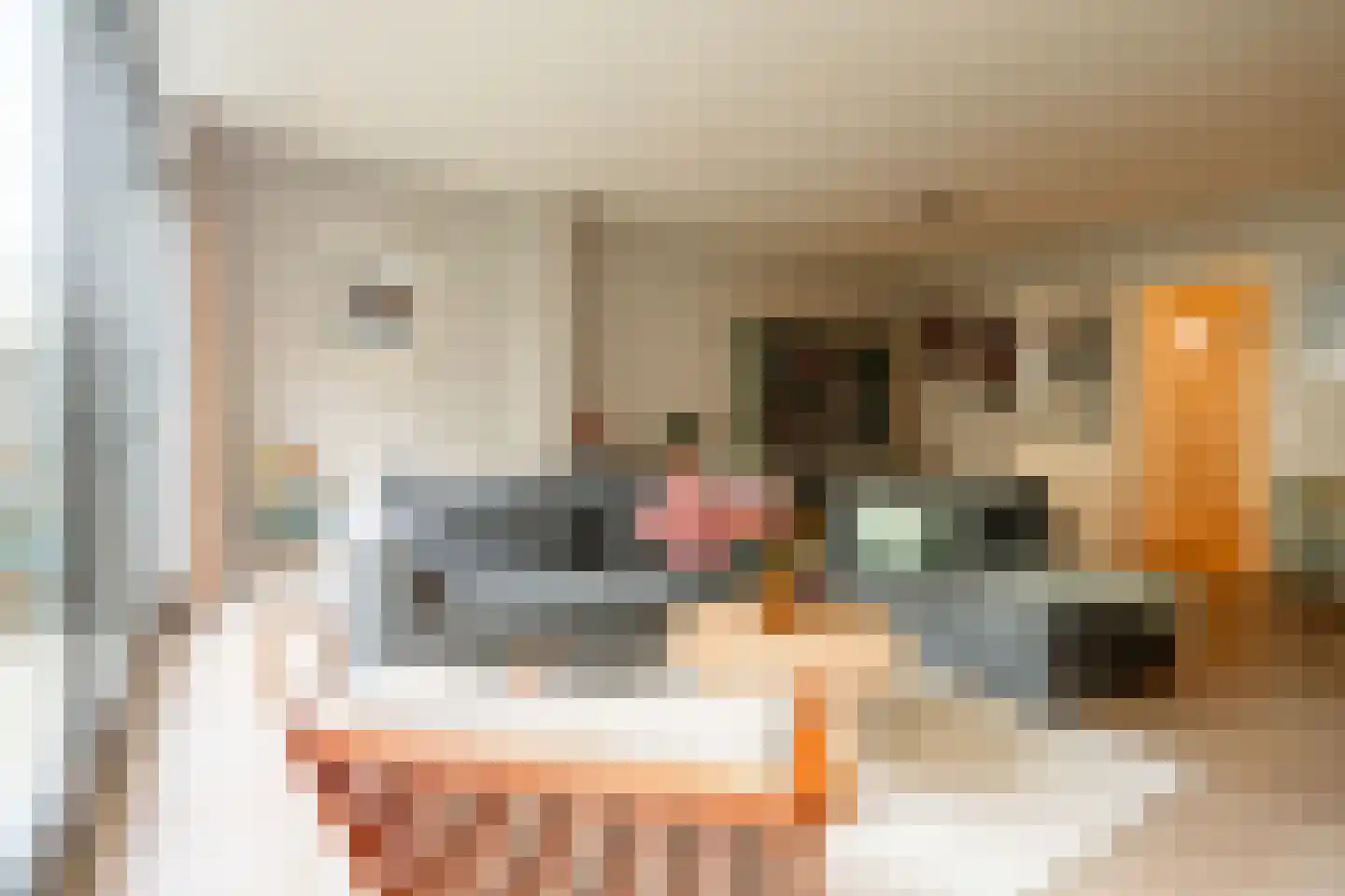 Van Ostadestraat 3 1 Amsterdam thumbnail 10
