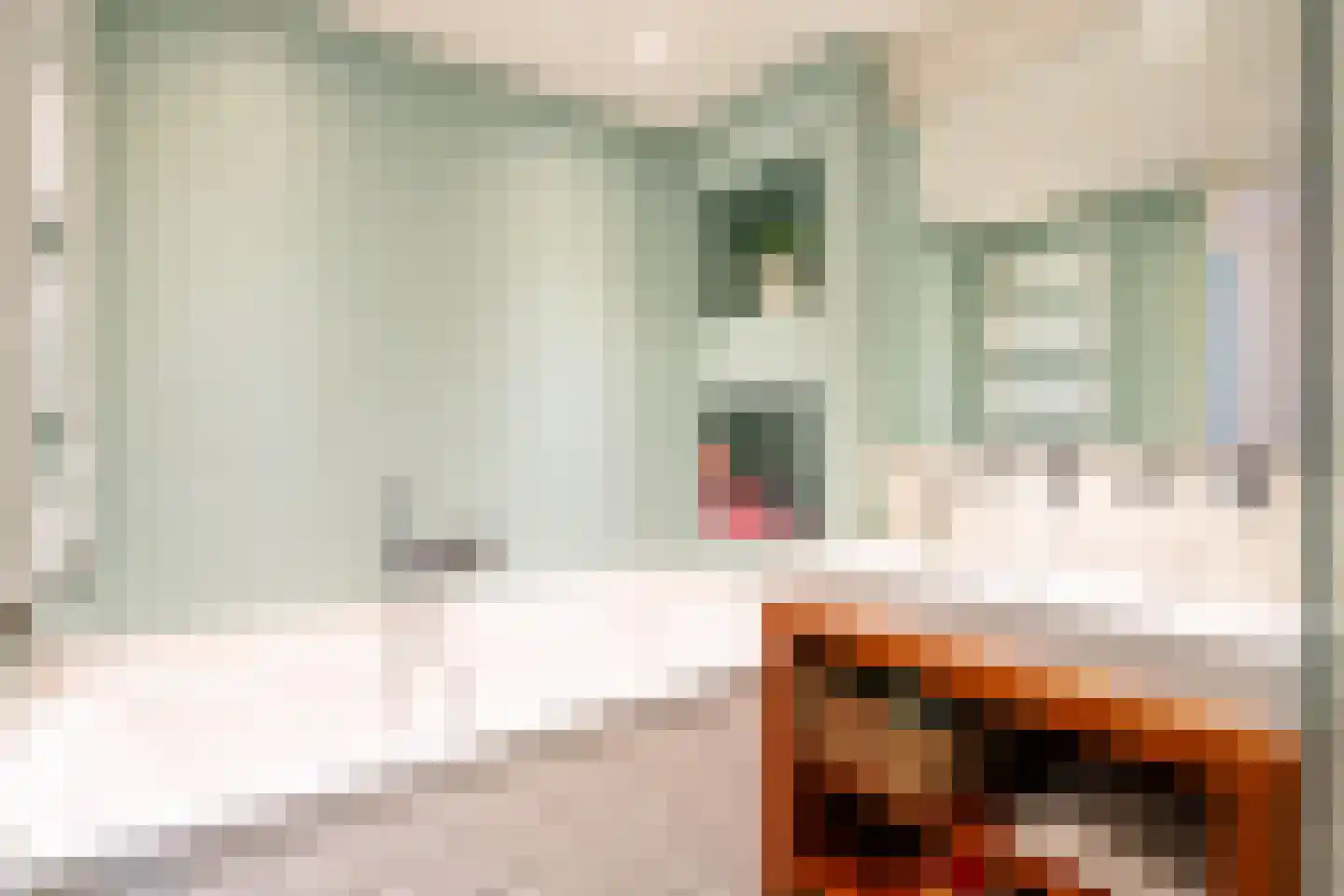 Van Ostadestraat 3 1 Amsterdam thumbnail 23