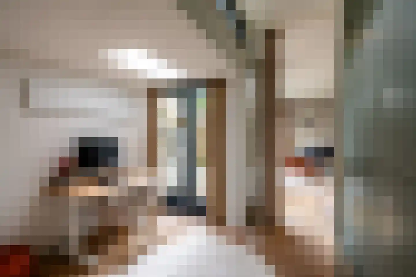 Van Ostadestraat 3 1 Amsterdam thumbnail 25