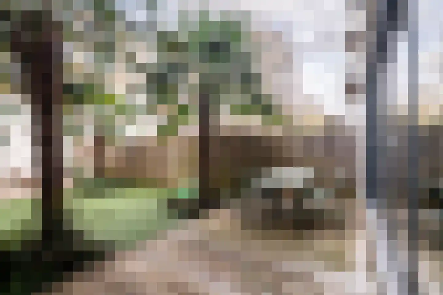 Van Ostadestraat 3 1 Amsterdam thumbnail 8