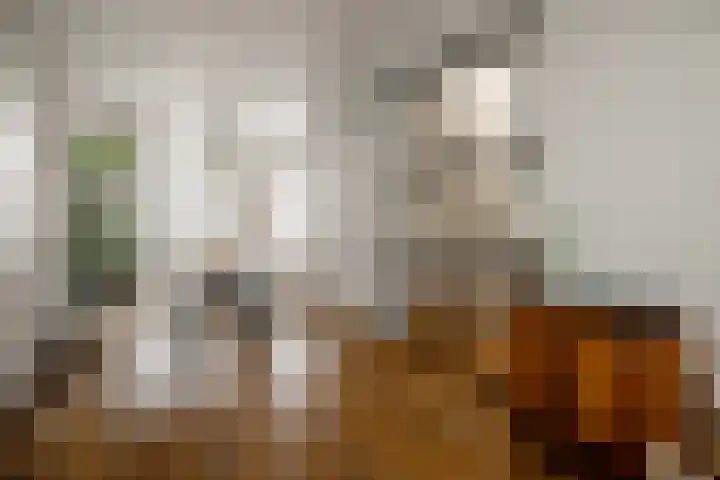 Van Ostadestraat 3 RD Haarlem thumbnail 13