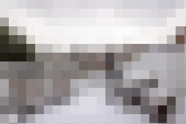 Van Ostadestraat 3 RD Haarlem thumbnail 38