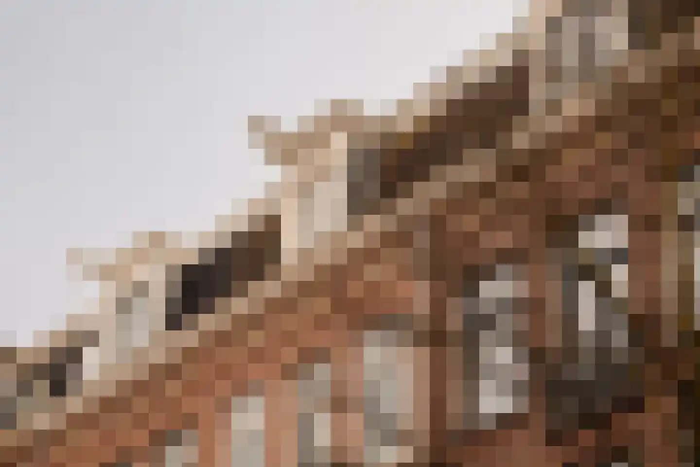 Van Ostadestraat 30 1 Amsterdam thumbnail 10