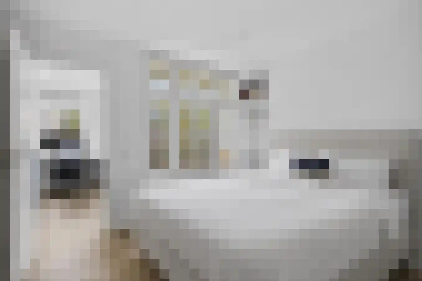 Van Ostadestraat 30 1 Amsterdam thumbnail 10