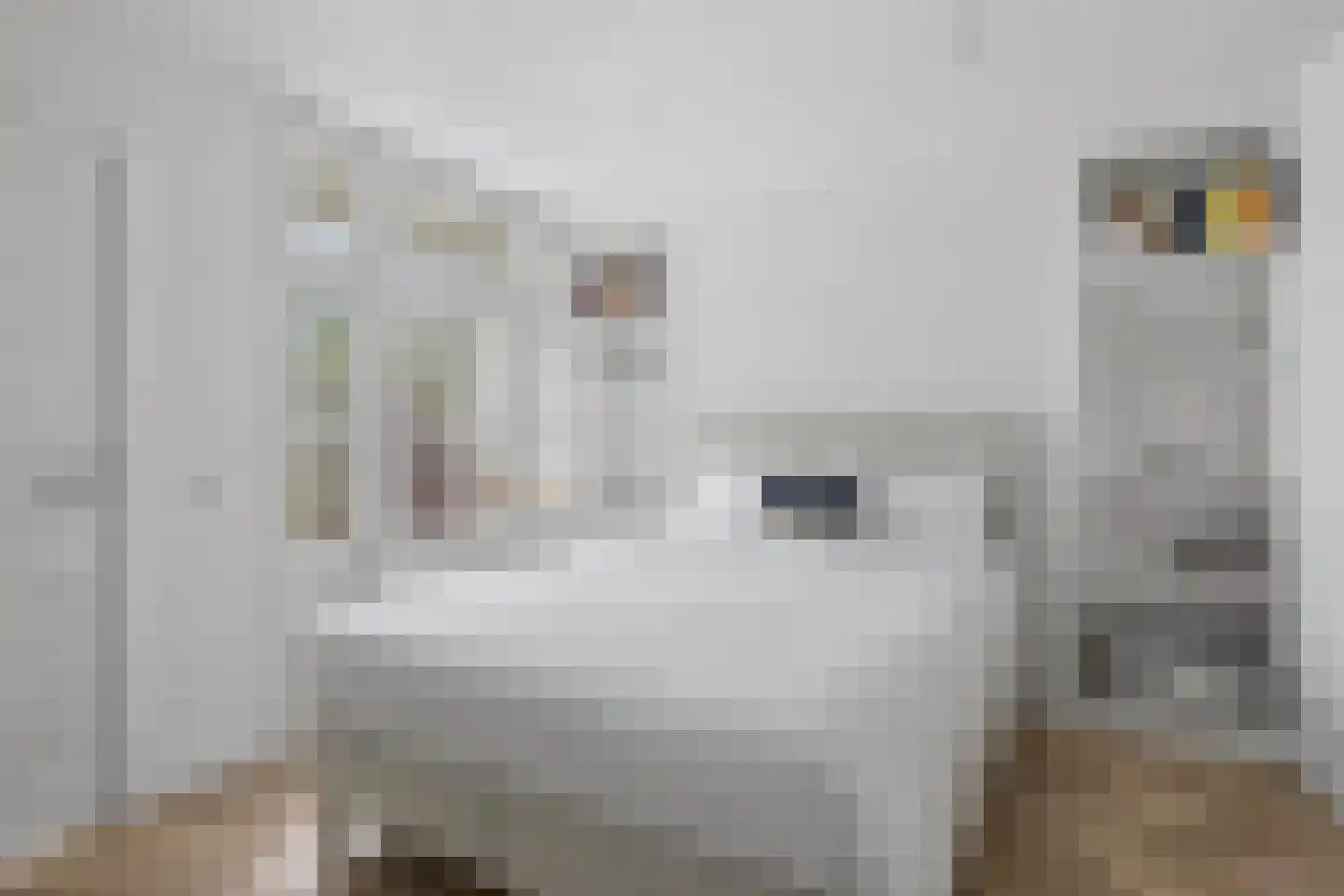 Van Ostadestraat 30 1 Amsterdam thumbnail 11