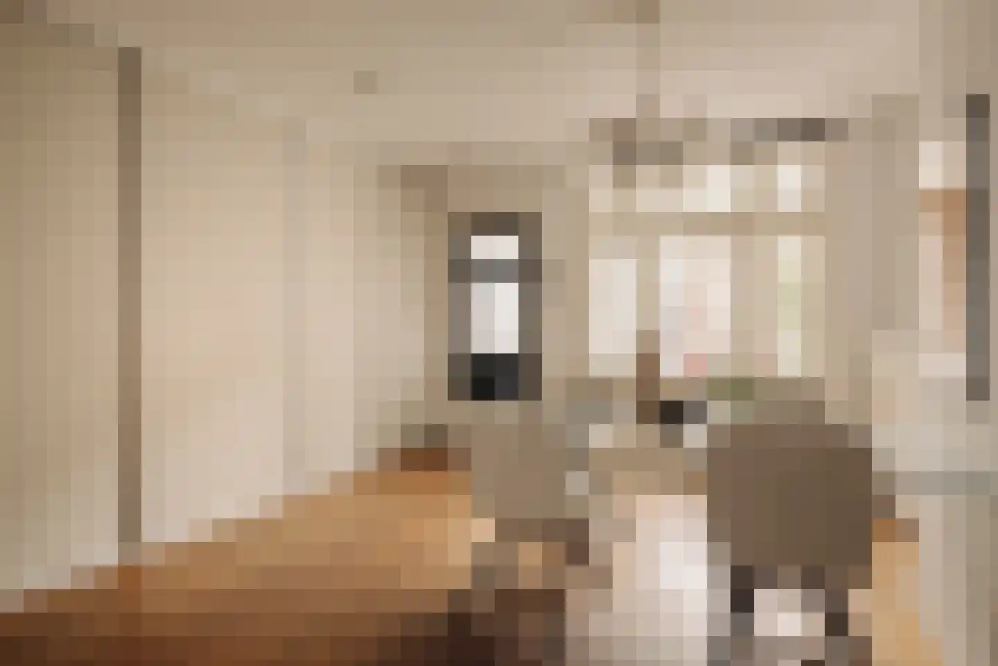 Van Ostadestraat 30 1 Amsterdam thumbnail 15