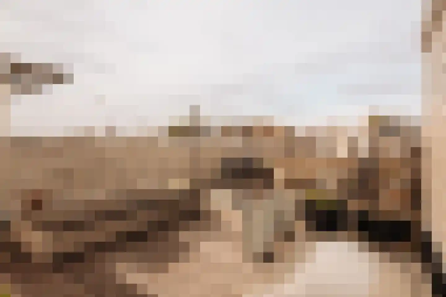 Van Ostadestraat 30 1 Amsterdam thumbnail 5