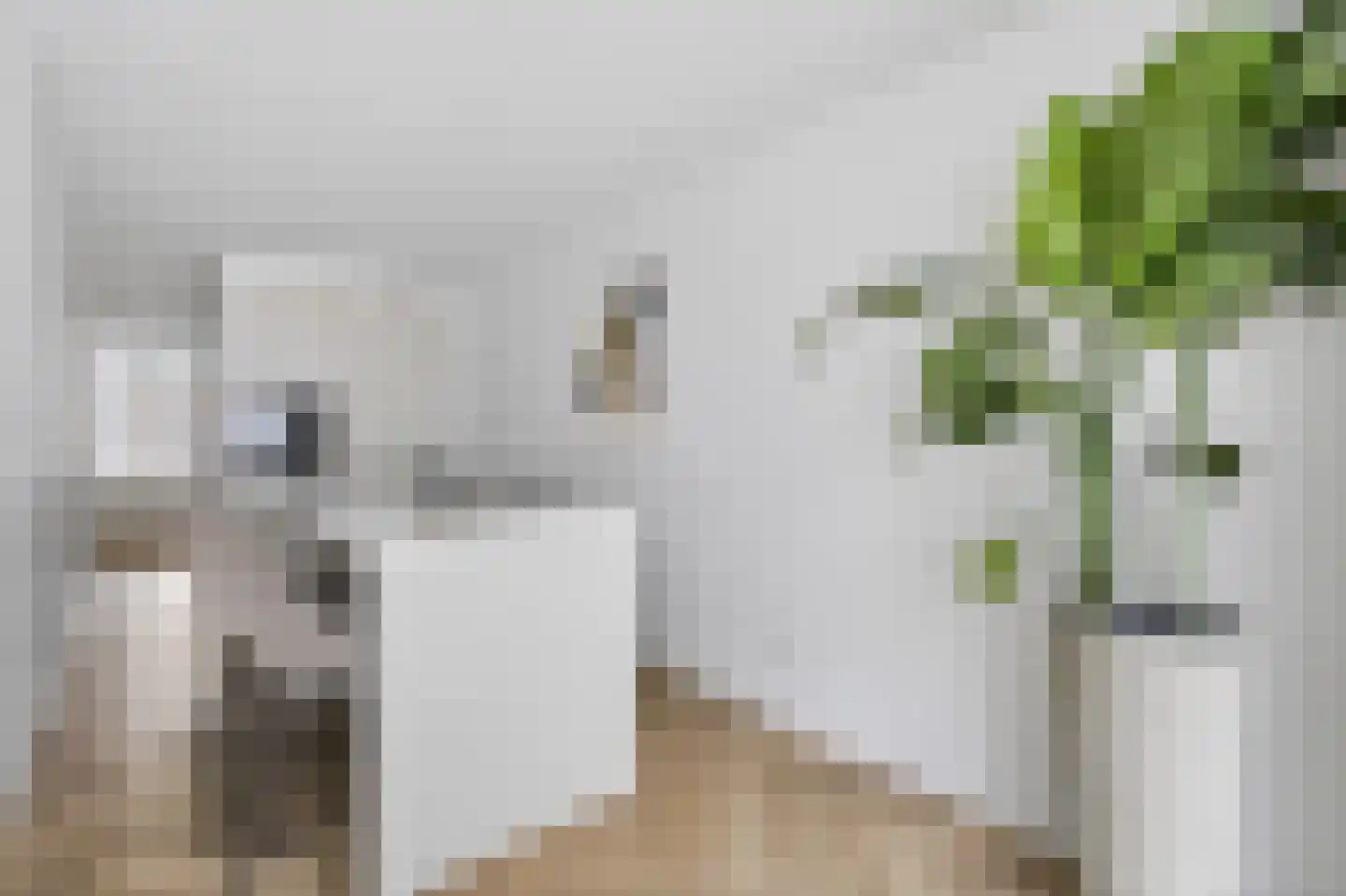 Van Ostadestraat 30 1 Amsterdam thumbnail 6
