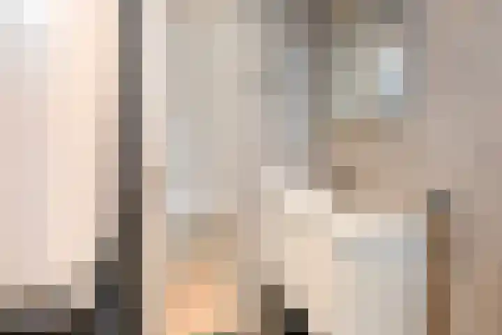 Van Ostadestraat 301 H Amsterdam thumbnail 15