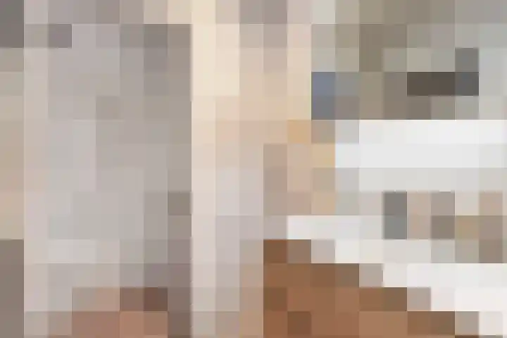 Van Ostadestraat 301 H Amsterdam thumbnail 17