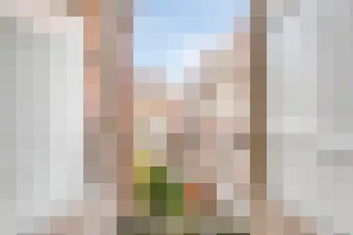 Van Ostadestraat 301 H Amsterdam thumbnail 17