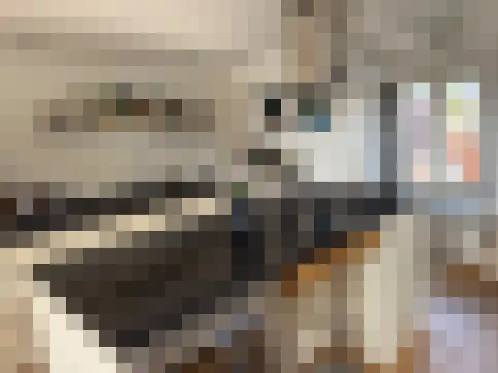 Van Ostadestraat 306 Amsterdam thumbnail 4