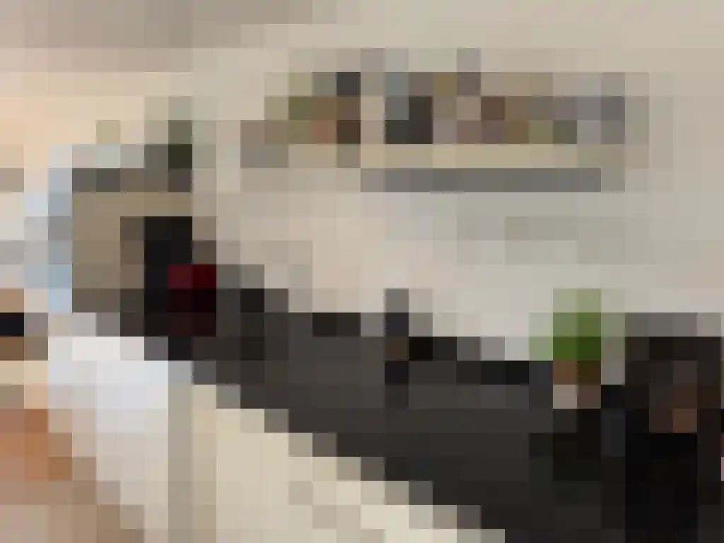 Van Ostadestraat 306 Amsterdam thumbnail 5