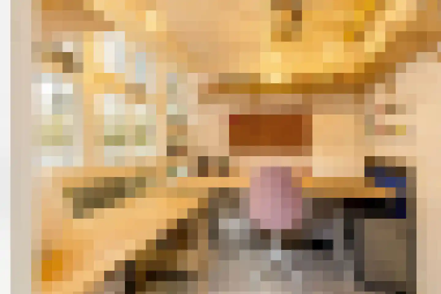 Van Ostadestraat 306 H Amsterdam thumbnail 13