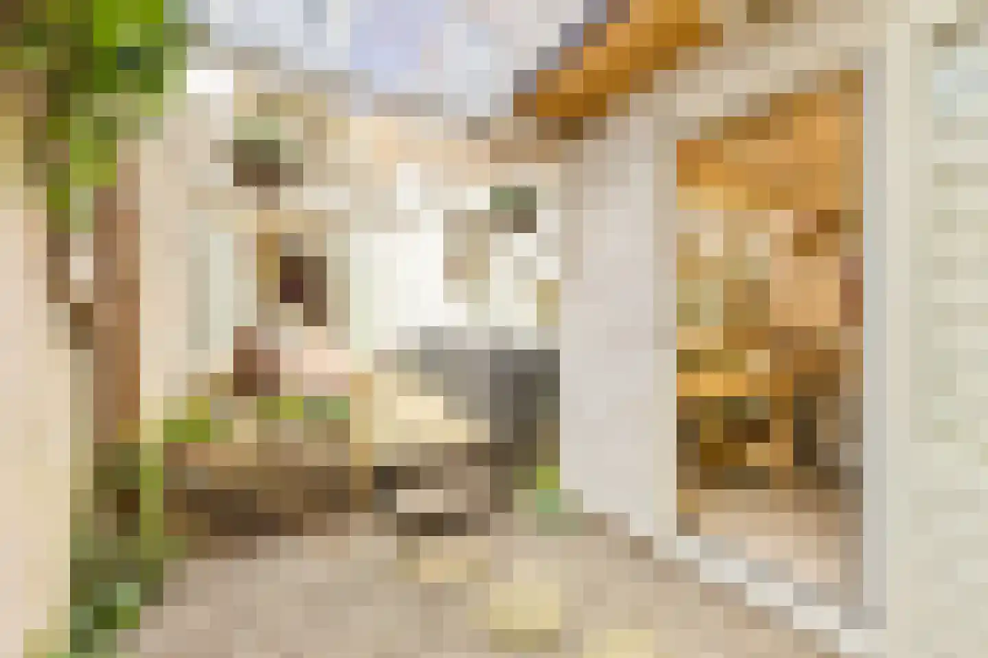 Van Ostadestraat 306 H Amsterdam thumbnail 14