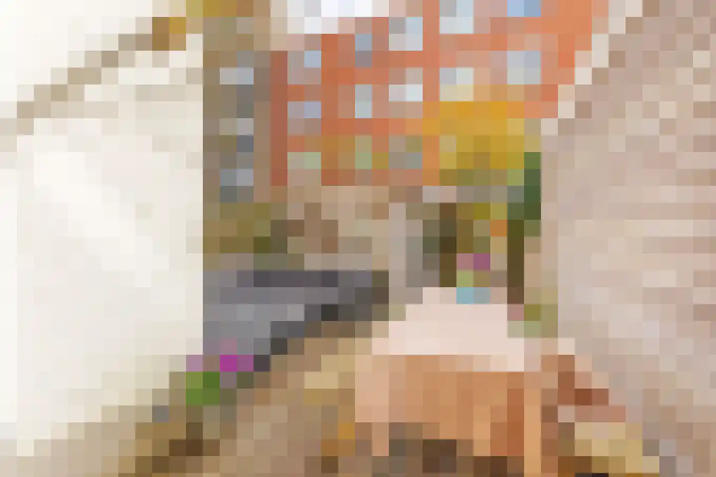 Van Ostadestraat 306 H Amsterdam thumbnail 15