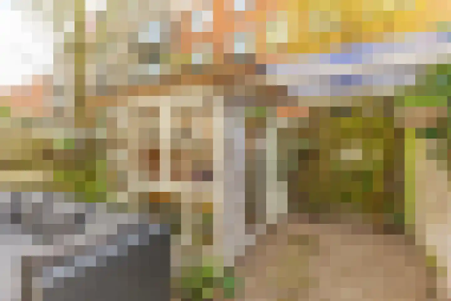 Van Ostadestraat 306 H Amsterdam thumbnail 17